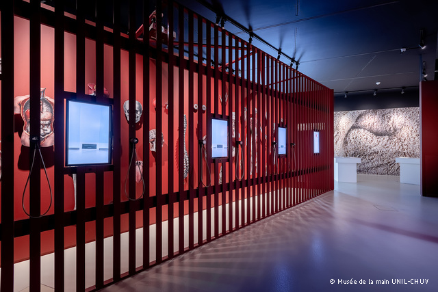 7-MANGER-Museedelamain_Copyright