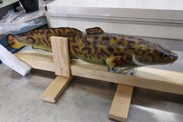 A_leau_moulage_lotte