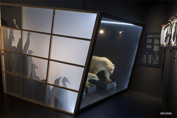 Poles_Arctique_antarctique